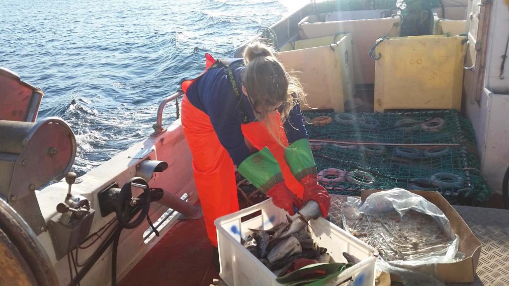 Me on deck cutting bait for the king crabs.