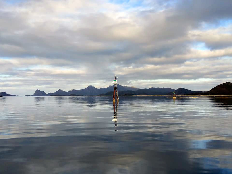 More guide posts in the still water.