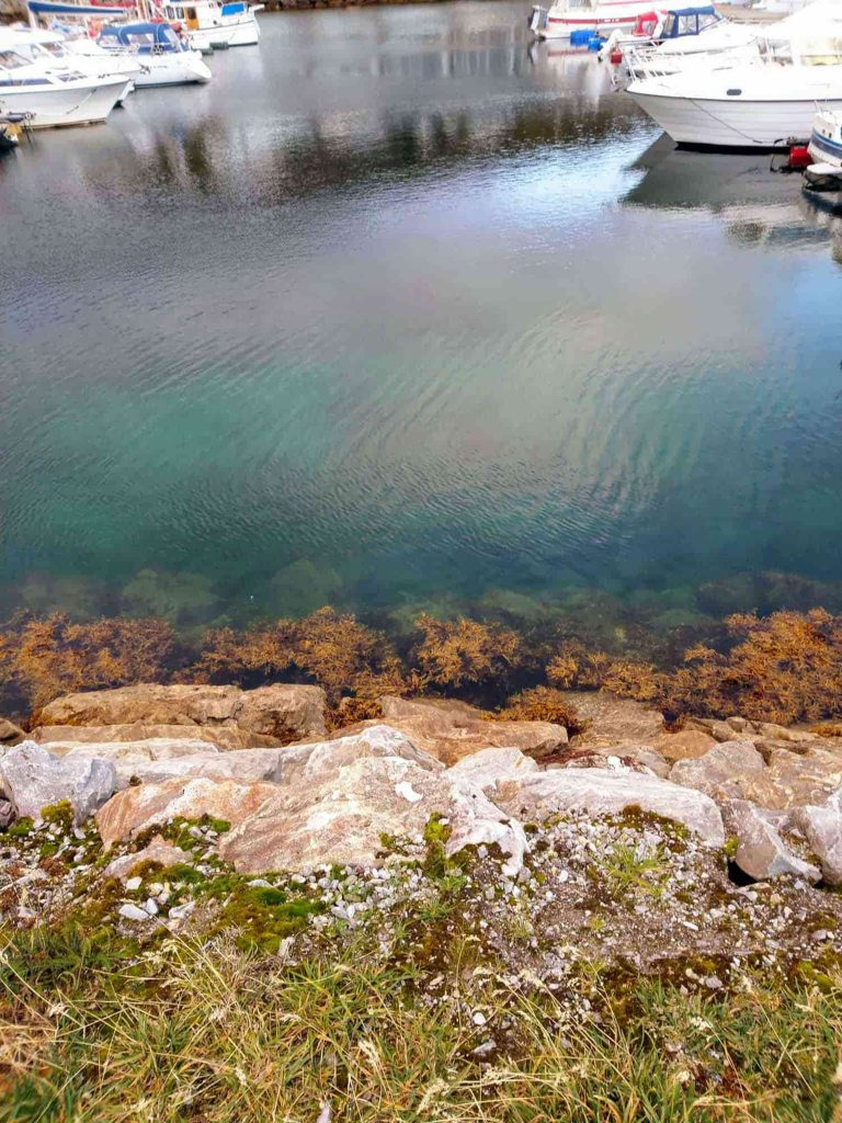 A view of the colourful rocks on the side of a marina with boats.