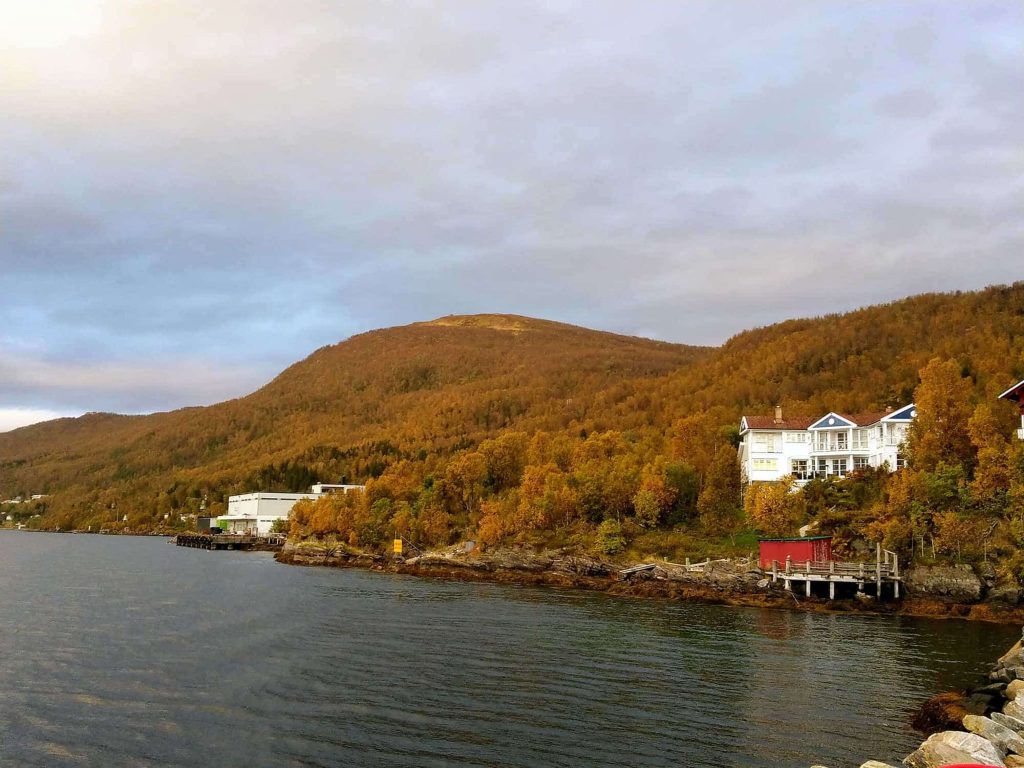 Two white houses surrounded by a forrest on a hill by the water.