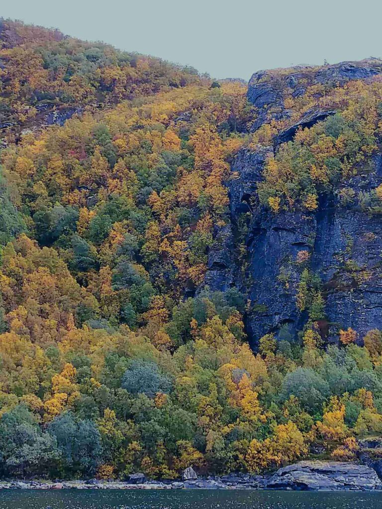 A black mountain with yellow, green and red trees.