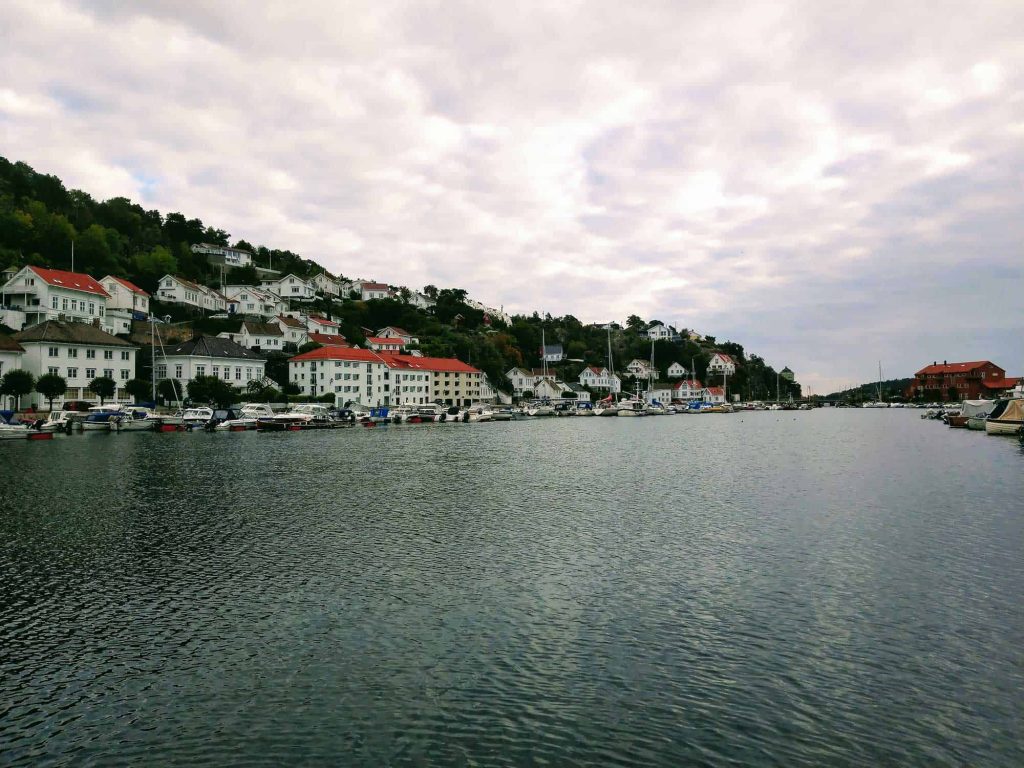 A view of a fjor with white houses and a forest on the other side.