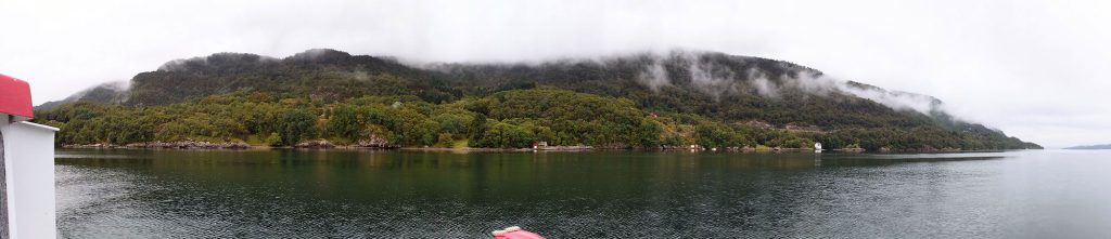 A wide-lens view of a forest by the water.