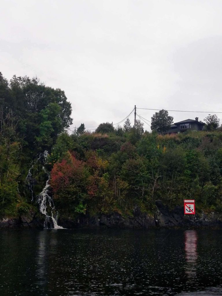 A a small waterfall coming through some trees and into the water.