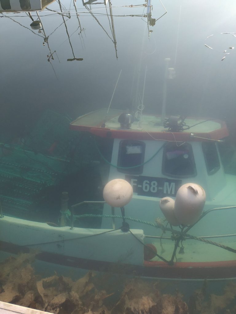 Smolten laying at the bottom of the marina.